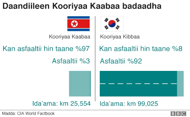 Daandiiwwan Kooriyaawwan lamaa walbira qabuu