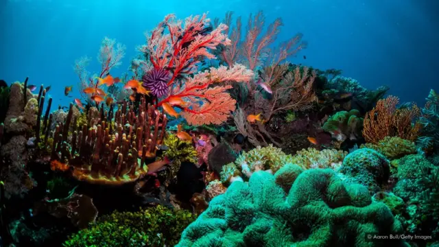 पानी के नीचे पर्यटन