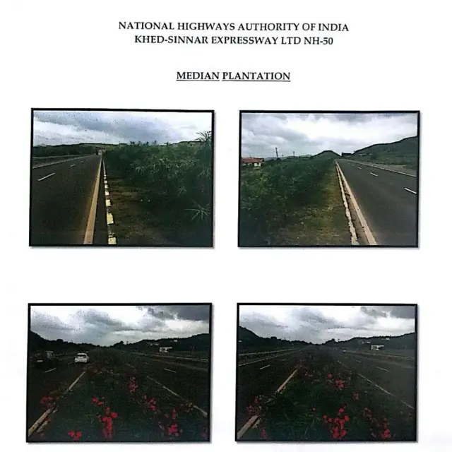 NHAI ने दिलेले झाडांचे फोटो