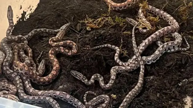 Ronaldo alizaa watoto 14