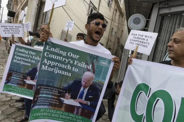 नेपालमा गाँजा खेतीलाई कानुनी मान्यता दिनुपर्ने आवाज उठ्दै आएको छ 