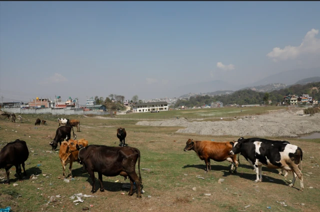 मुलपानी रङ्गशाला