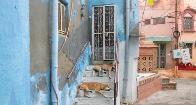 نیلا رنگ برہمہ پوری