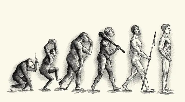 Ilustrasi evolusi manusia