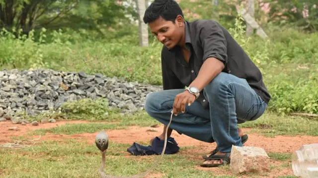 பாம்புகள் பாதுகாப்பு