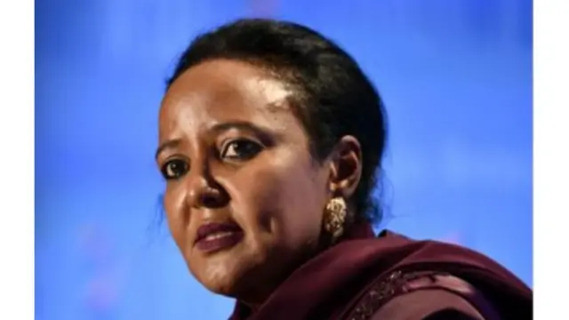 أمينة محمد، شغلت منصب وزيرة التجارة والخارجية في كينيا