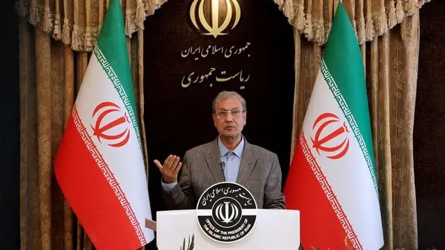 علی ربیعی، سخنگوی دولت ایران