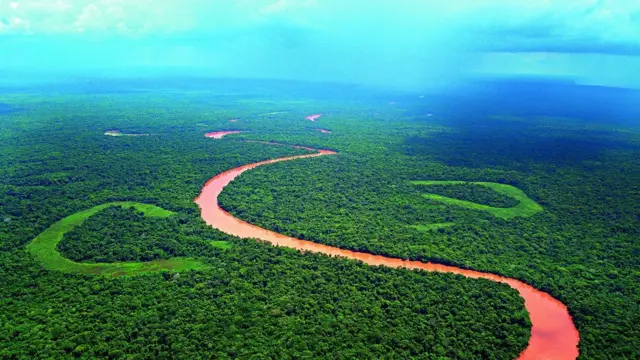 Vista aérea do Pantanal