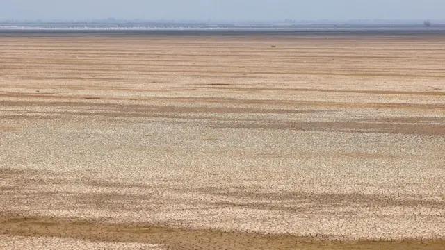Jezero Karla u Grčkoj je u potpunosti presušilo pa spasilačke službe čiste obale od mrtve ribe i drugih životinja
