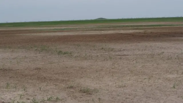 розорані поля