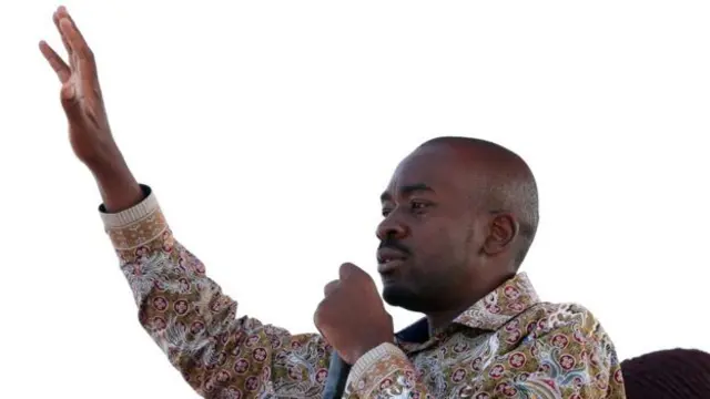 ኔልሰን ቻሚሳ