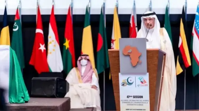 ఓఐసీలో సౌదీ అరేబియా ఆధిపత్యం చలాయిస్తుంది