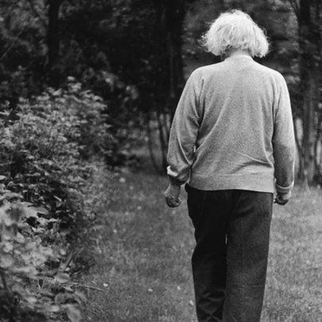 Einstein