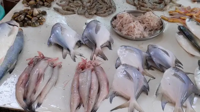 मासेमारी