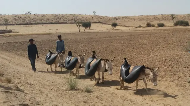 पाकिस्तान, थार, पानी