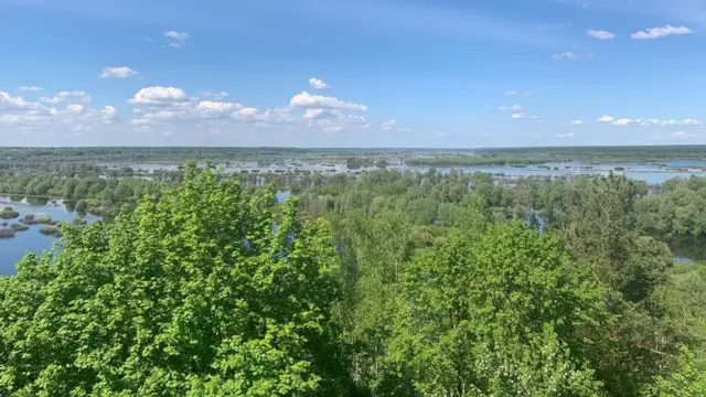 десна