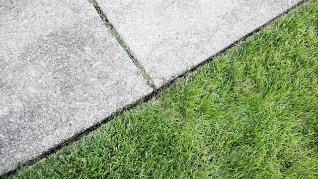 Camino de cemento al lado de prado.