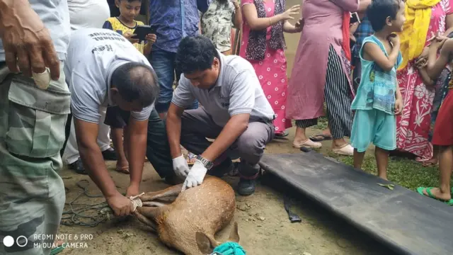 5 சதவீதம் தண்ணீரில் மூழ்கிய காசிரங்கா பூங்கா