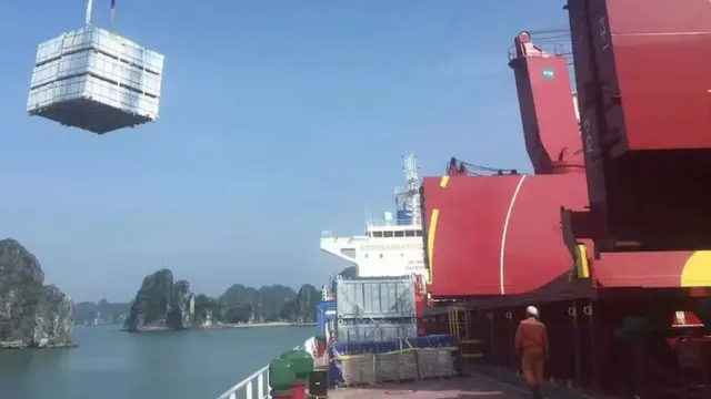 Ván ép được cho là làm từ gỗ bạch dương Nga đang được chất lên một con tàu ở Hải Phòng, Việt Nam, để xuất khẩu sang Hoa Kỳ vào tháng 5 năm 2022.