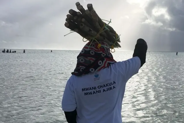 વનસ્પતિ ઊગાડવા જતાં મહિલા