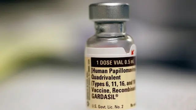 virus, hpv, kanker, indonesia