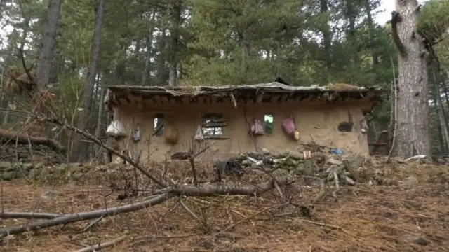 काश्मीर, कलम 370, वन अधिकार, भाजप, नॅशनल कॉन्फरन्स