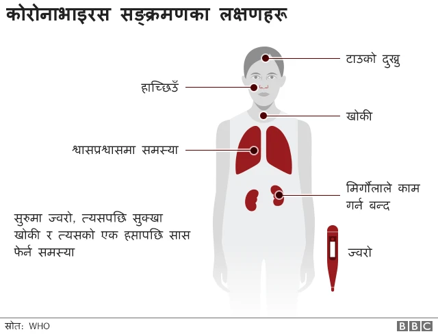 कोरोनाभाइरस