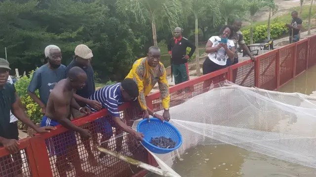 Ọsin ẹja Obasanjo