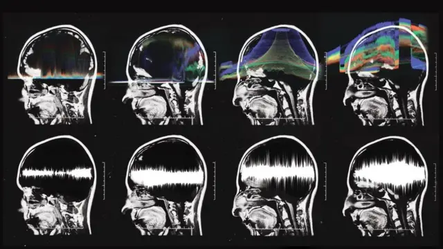 （圖片來源: Silvia Grav）