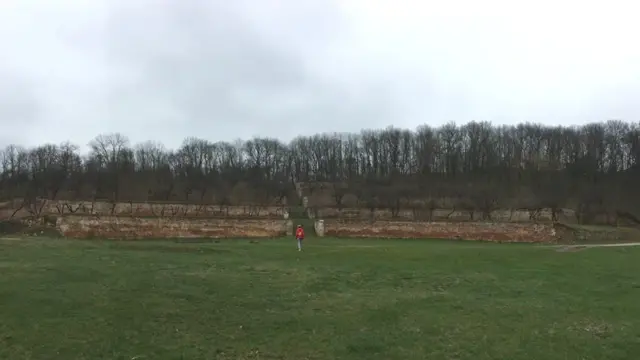 співочі