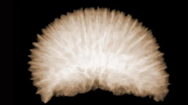 Imagen fuera de foco de algo que parece un cerebro o una esponja marina