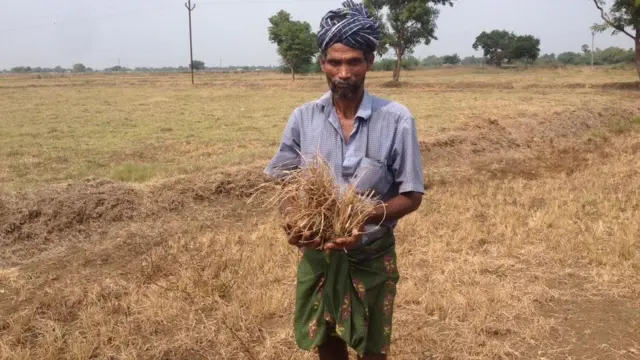 தஞ்சாவூர், திருவாரூர், கடலூர் மாவட்டத்தின் பல பகுதிகளில் பாதி வரை வந்த பயிர்கள் தண்ணீர் இல்லாமல் கருக ஆரம்பித்துள்ளன.