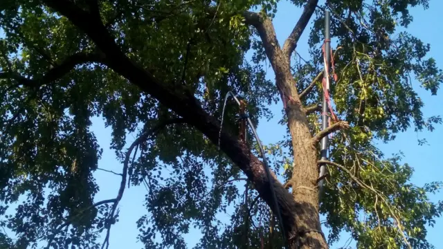 प्रकृति जल ऊर्जा पंप