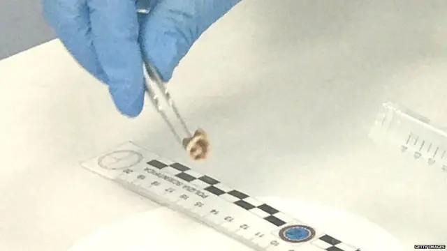 સંશોધકોએ વર્ષ 2005માં મળેલા એક દાંતની ચકાસણી કરી