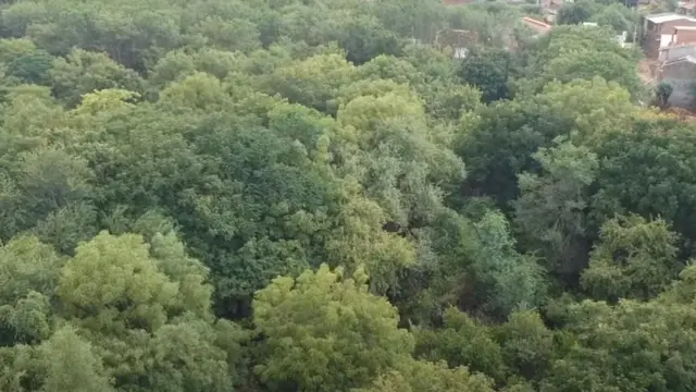 રણમાં નિસર્ગ નિકેતન એટલે કે કુદરતનું ઘર