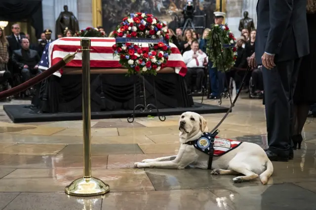Sully, a three-year-old yellow Labrador service dog for former President George H. W. Bush, sits near the casket of the late former President George H.W. Bush as he lies in state at the U.S. Capitol, December 4
