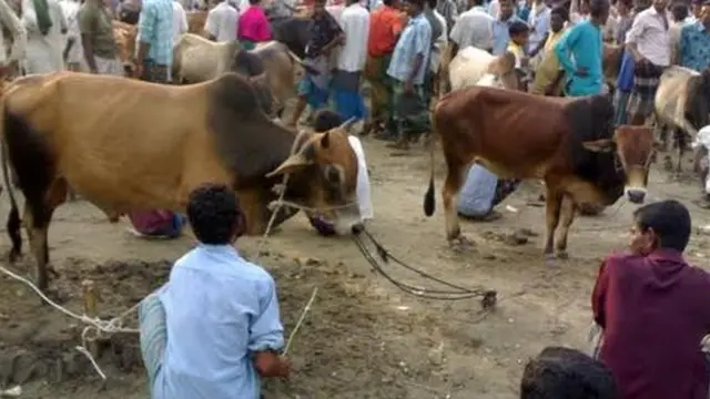 पश्चिम बंगाल