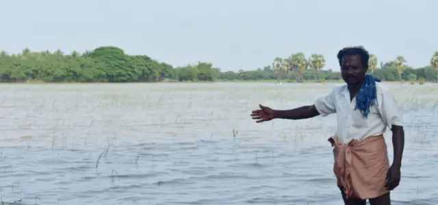 நீரில் மூழ்கிய பயிரை காட்டும் கூத்தான்குடியைச் சேர்ந்த விவசாயி முருகையன்