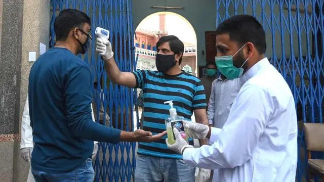 ہرڈ امیونٹی