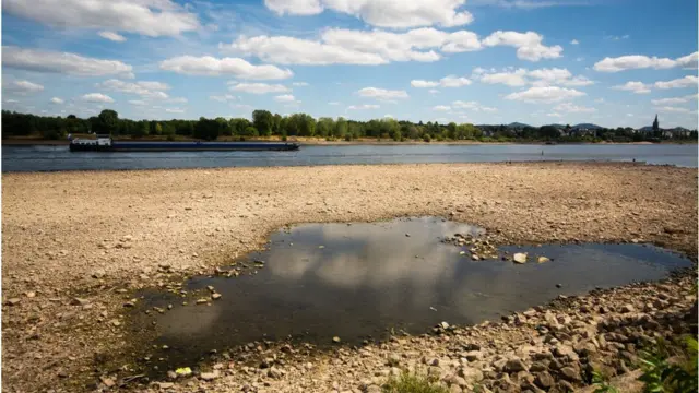 જર્મનીના બોન ખાતે સુકાઈ ગયેલ રાઇન નદી