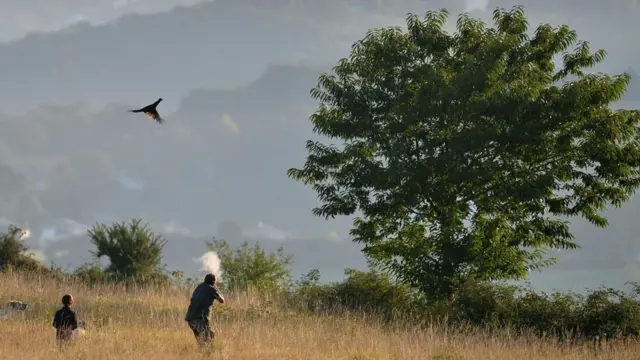 如果枪支消失的话，狩猎与农业会出现许多潜在的风险和问题。