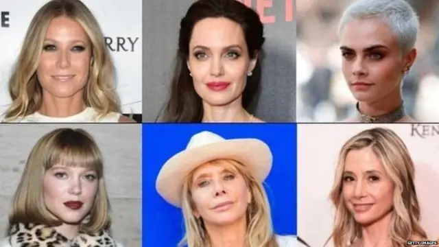 ਵਾਇਨਸਟੀਨ