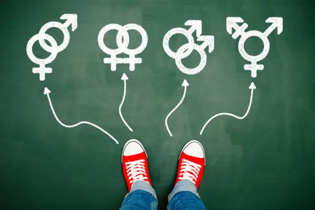 Opciones de orientación sexual.