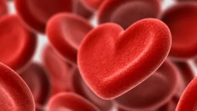 कोलेस्टेरॉल