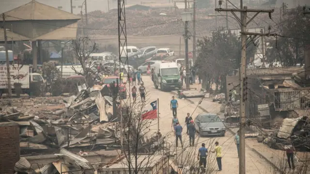 Como se ve al fondo, la zona afectada está inmersa en la lógica de la producción maderera. Para bien, dicen unos, y para mal, dicen otros.