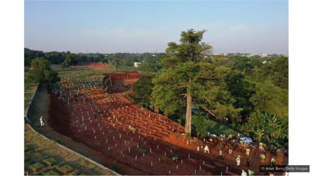کورونا سے ہلاک ہونے والے