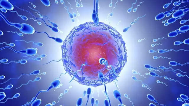 एजोस्पर्मीआ