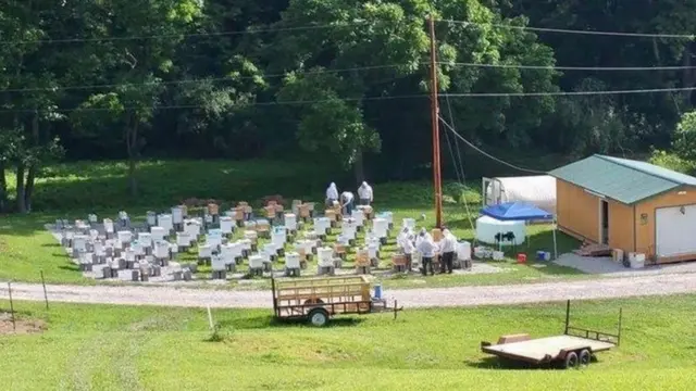 مزرعة "شوجر بوتوم" في منطقة أوفابا بولاية ويست فرجينيا