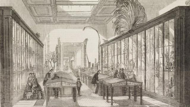 La sala de botánica del Museo Británico en 1858.