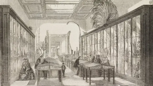 Sala botânica do Museu Britânico,hot blaze apostas1858